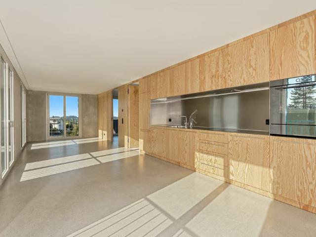 Haus mieten in Wetzikon (ZH), Zürich