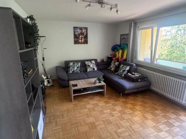 Apartment mieten in Areuse
