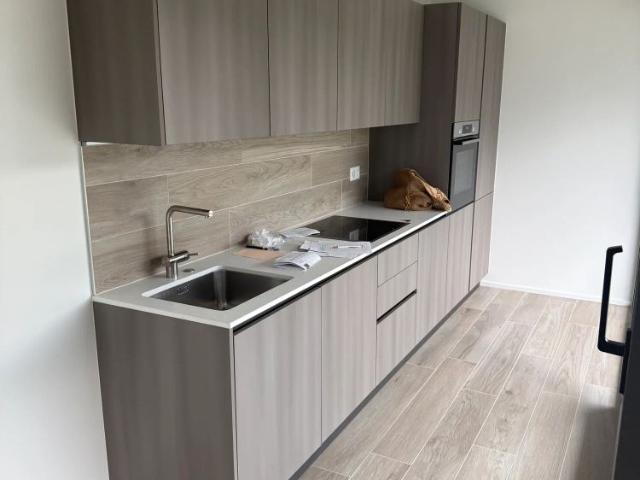 Apartment mieten in Melano, Tessin