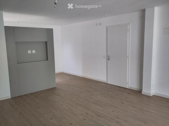 Apartment mieten in Nyon, Waadt