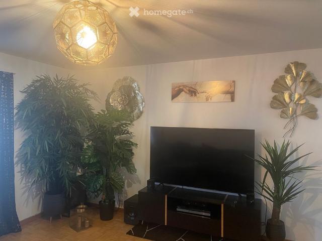 Apartment mieten in Winterthur, Zürich