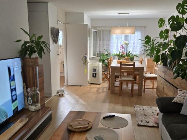 Apartment mieten in Veltheim (AG), Aargau