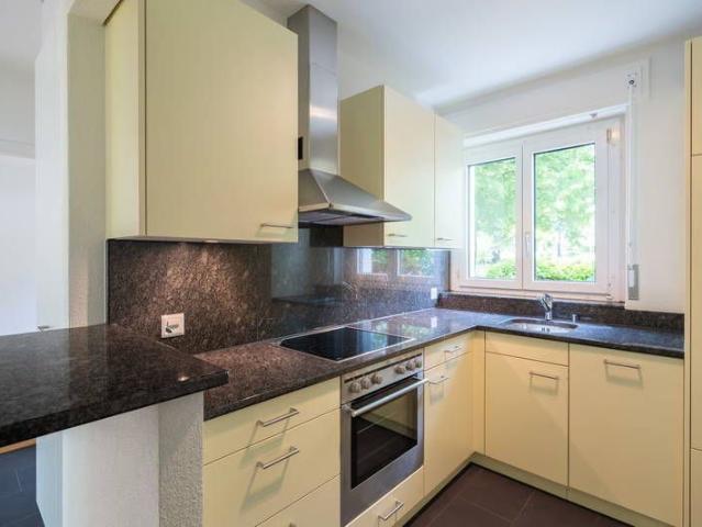 Apartment mieten in Solothurn