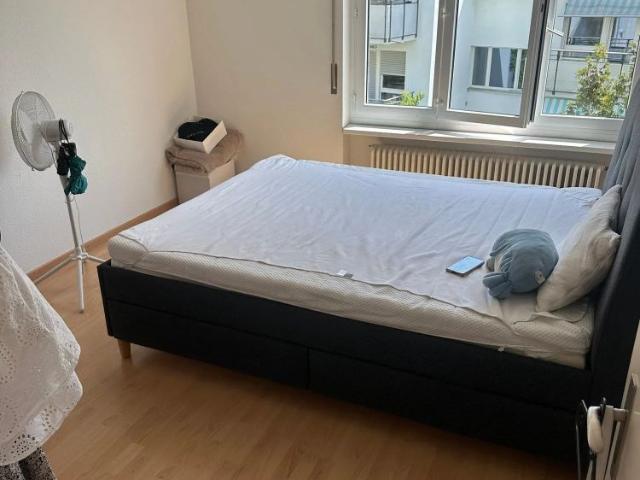 Apartment mieten in Wallisellen, Zürich