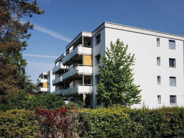 Apartment mieten in Illnau-Effretikon, Zürich