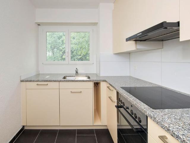 Haus mieten in Baden, Aargau