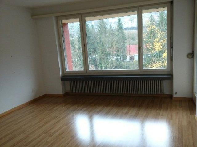 Apartment mieten in Adliswil, Zürich
