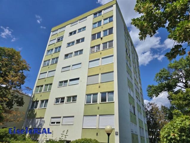 Wohnung mieten in Maria Enzersdorf, Niederösterreich