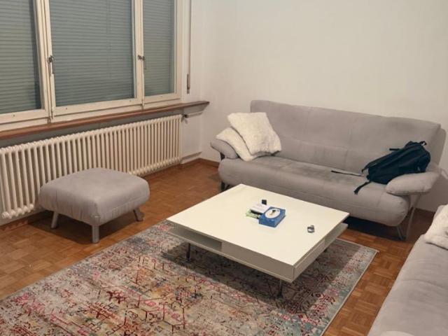Apartment mieten in Menziken, Aargau