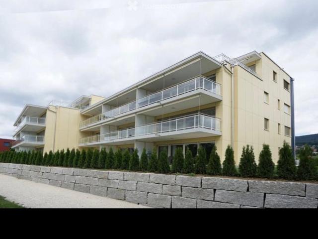 Apartment mieten in Hägendorf, Solothurn