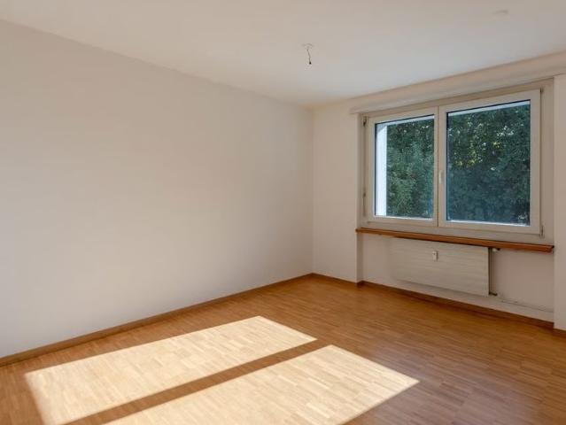 Apartment mieten in Dreibeinskreuz, Solothurn