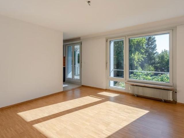 Apartment mieten in Dreibeinskreuz, Solothurn