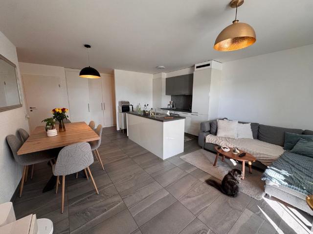 Apartment mieten in Châtel-Saint-Denis, Freiburg