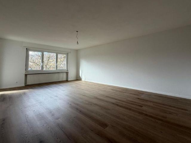 Apartment mieten in Zwingen, Basel-Landschaft