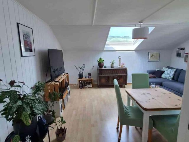 Apartment mieten in Lü