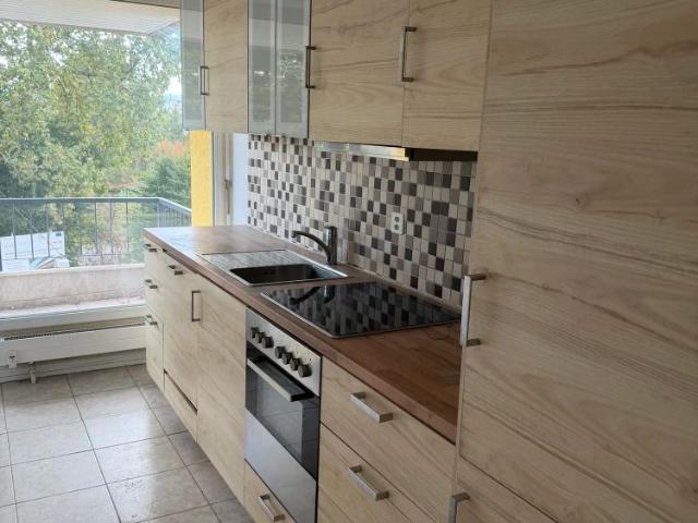 Apartment mieten in Basel, Basel-Stadt