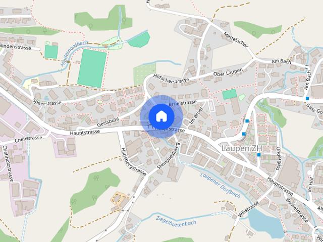 Apartment mieten in Laupen ZH, Wald (ZH)