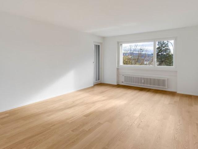 Apartment mieten in Im Russer, Männedorf