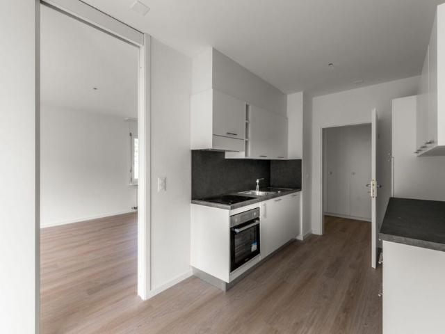 Apartment mieten in Bellinzona, Tessin