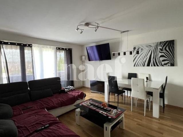 Apartment mieten in Villars, Freiburg
