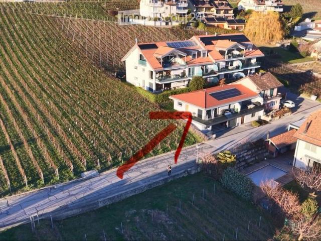 Apartment mieten in Luins, Waadt