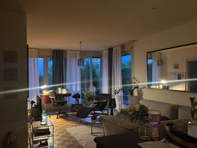 Apartment mieten in Paradiso, Tessin