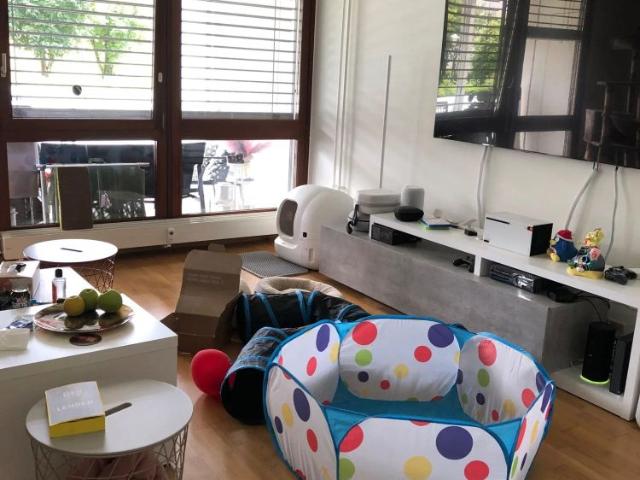 Apartment mieten in Neuenhof, Aargau