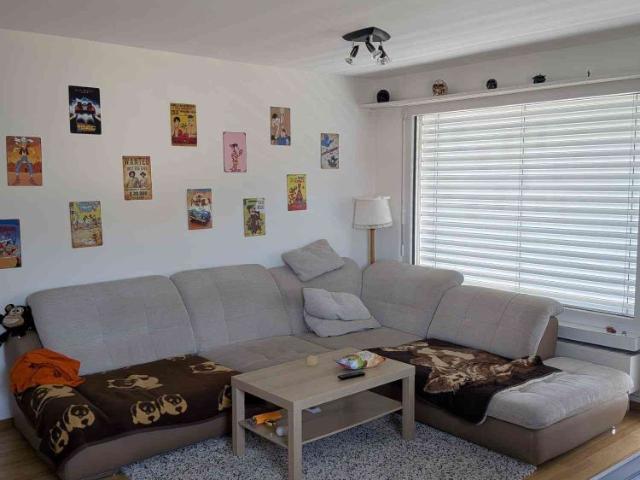Apartment mieten in Niedergösgen, Solothurn