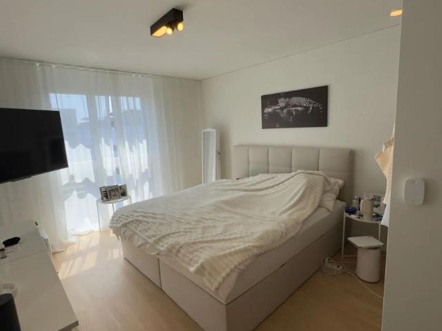 Apartment mieten in Sonnental, Dübendorf