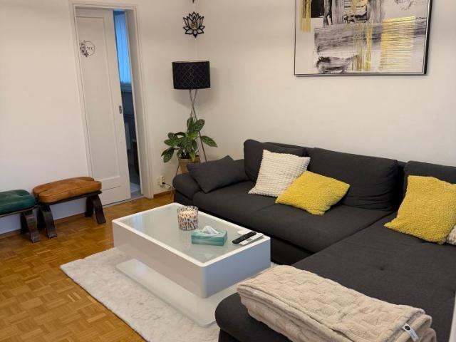 Apartment mieten in Tesserete, Tessin