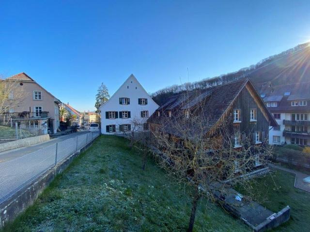 Apartment mieten in Hofstetten-Flüh, Solothurn