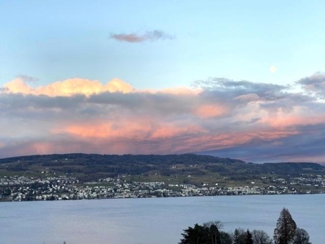 Wohnung mieten in Horgen, Zürich