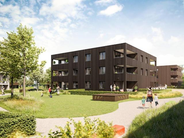 Apartment kaufen in Höchst