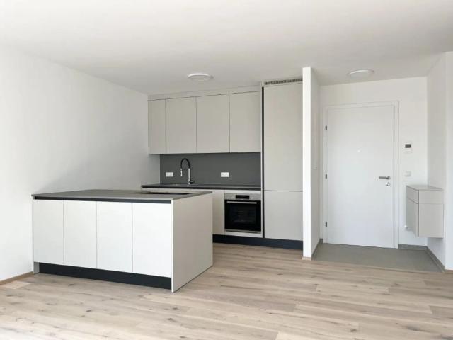 Apartment mieten in Guntramsdorf