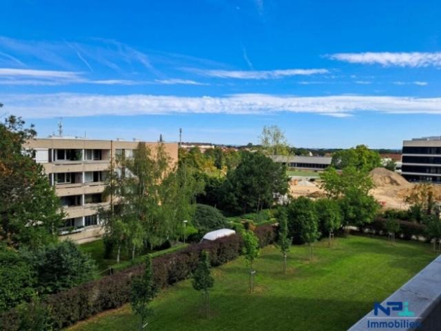 Wohnung kaufen in Baden, Niederösterreich