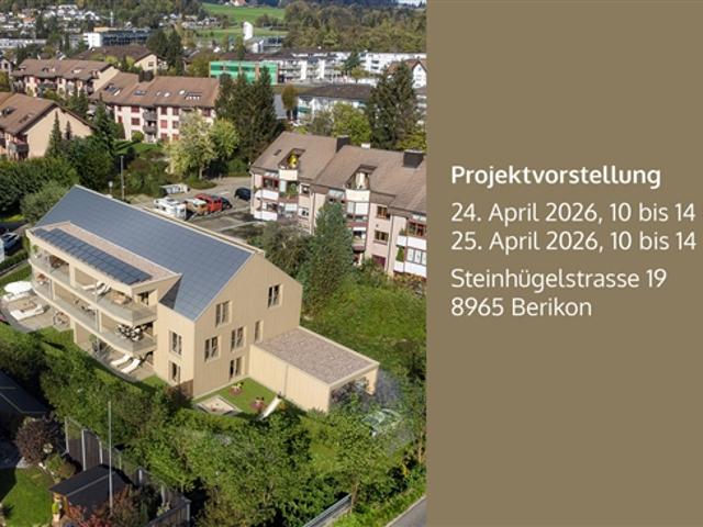 Wohnung kaufen in Berikon, Aargau