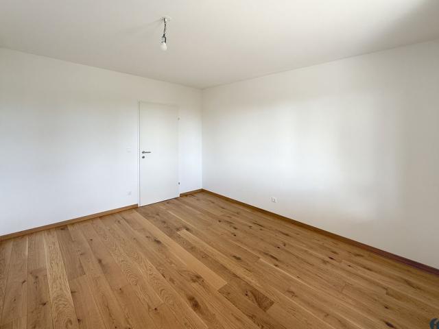 Wohnung mieten in Tulln an der Donau, Bezirk Tulln