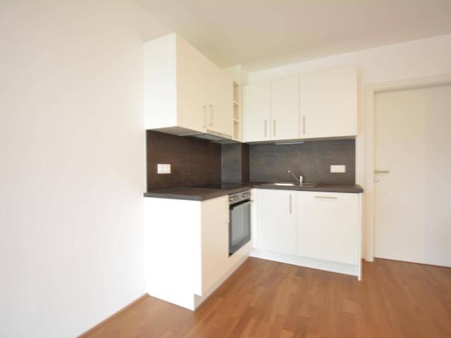 Apartment mieten in Katastralgemeinde Straßgang, Graz