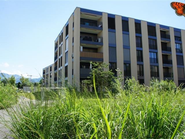 Wohnung mieten in Bulle, Freiburg