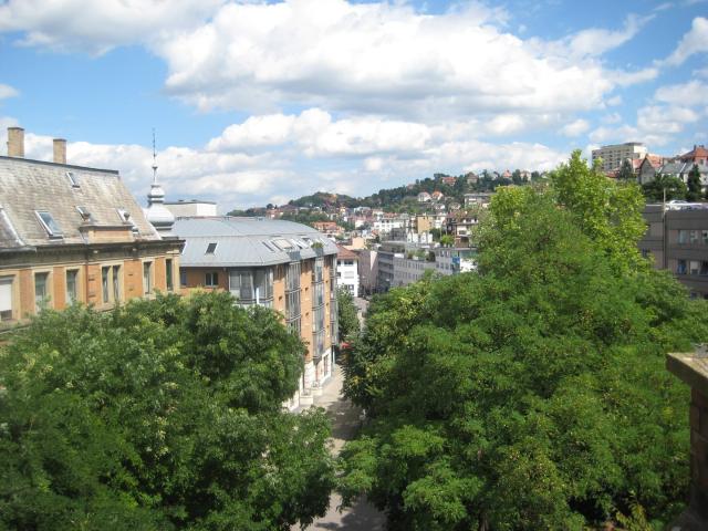Wohnung mieten in Lehen, Stuttgart