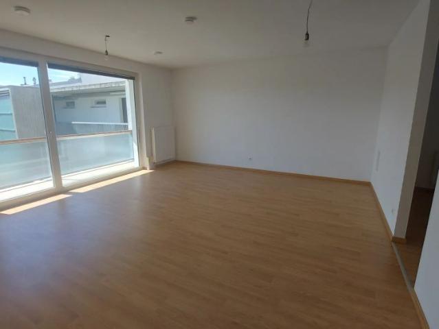 Apartment mieten in Krems an der Donau, Niederösterreich