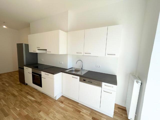 Apartment mieten in Katastralgemeinde Jakomini, Graz