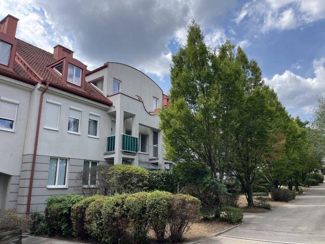 Apartment mieten in Gumpoldskirchen, Niederösterreich