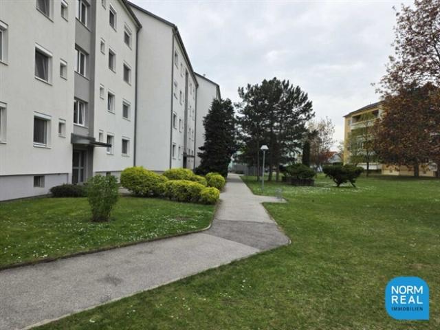 Terrassenwohnung kaufen in Ebergassing, Niederösterreich
