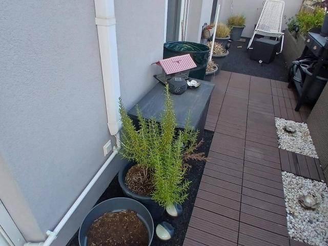 Apartment mieten in Eisenstadt, Burgenland