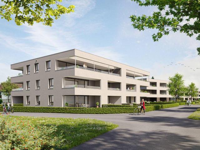 Apartment kaufen in Höchst, Vorarlberg