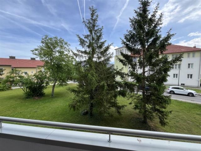 Wohnung kaufen in Felixdorf, Niederösterreich