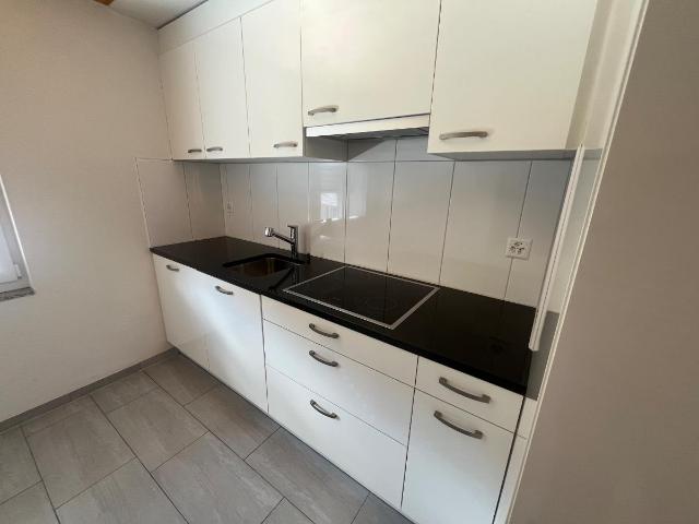 Wohnung mieten in Einigen, Zürich