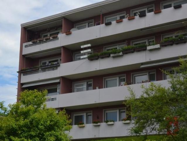 Apartment mieten in Freienstein-Teufen, Bezirk Bülach