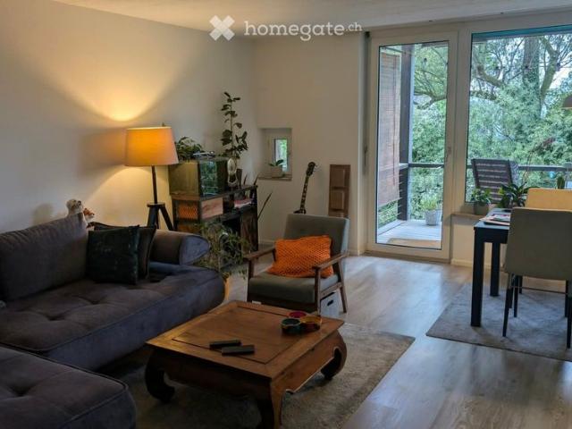 Apartment mieten in Grossbasel, Basel